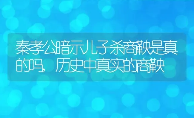 秦孝公暗示儿子杀商鞅是真的吗,历史中真实的商鞅 | 养殖学堂
