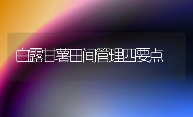 白露甘薯田间管理四要点 | 养殖知识