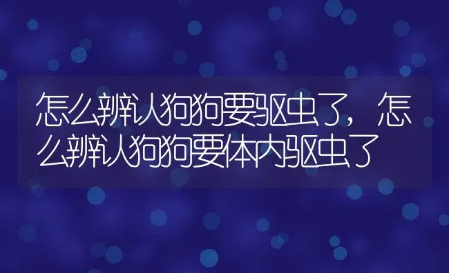 怎么辨认狗狗要驱虫了,怎么辨认狗狗要体内驱虫了 | 养殖资料