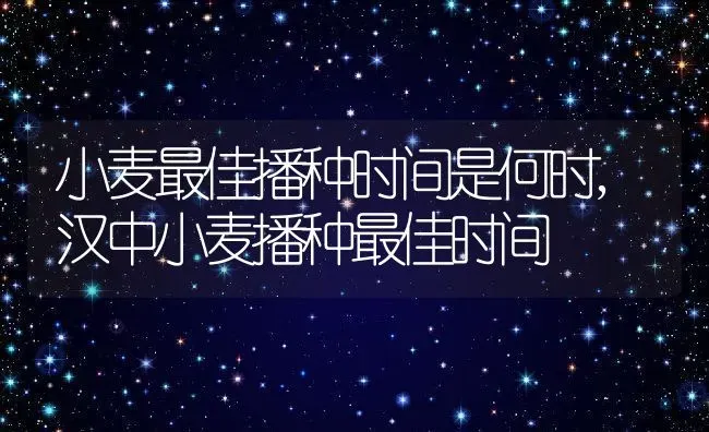 小麦最佳播种时间是何时,汉中小麦播种最佳时间 | 养殖学堂