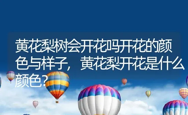 仓鼠和老鼠的区别,仓鼠和老鼠的区别图片 | 养殖资料