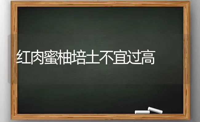 红肉蜜柚培土不宜过高 | 养殖知识