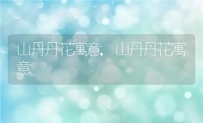 山丹丹花寓意,山丹丹花寓意 | 养殖科普