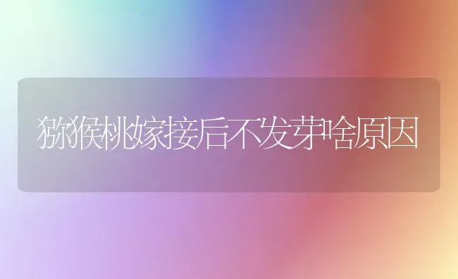 猕猴桃嫁接后不发芽啥原因 | 养殖技术大全