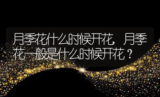 月季花什么时候开花,月季花一般是什么时候开花？ | 养殖学堂
