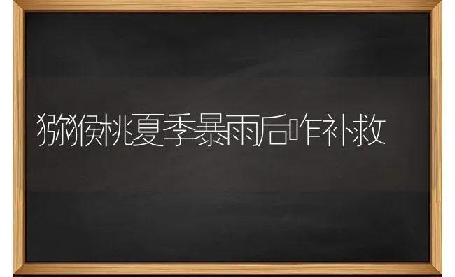 猕猴桃夏季暴雨后咋补救 | 养殖技术大全