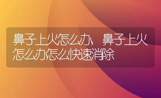 鼻子上火怎么办,鼻子上火怎么办怎么快速消除 | 养殖学堂