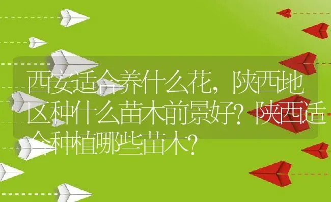 西安适合养什么花,陕西地区种什么苗木前景好？陕西适合种植哪些苗木？ | 养殖科普