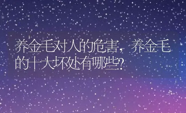 养金毛对人的危害,养金毛的十大坏处有哪些？ | 养殖学堂