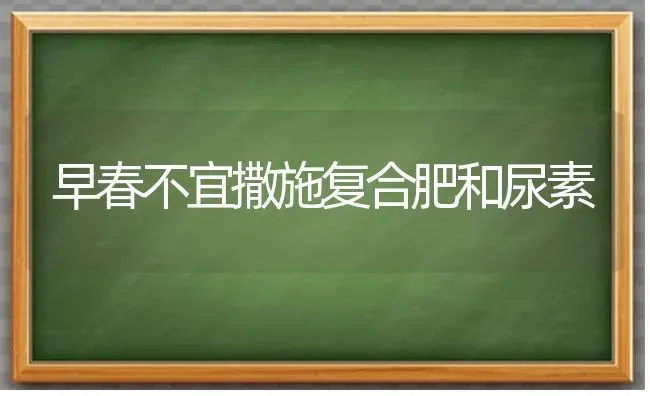 早春不宜撒施复合肥和尿素 | 养殖技术大全