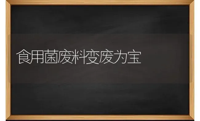 食用菌废料变废为宝 | 养殖技术大全