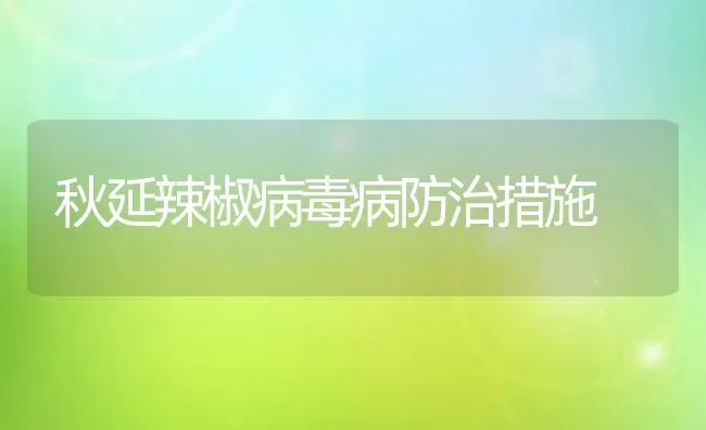 秋延辣椒病毒病防治措施 | 养殖技术大全