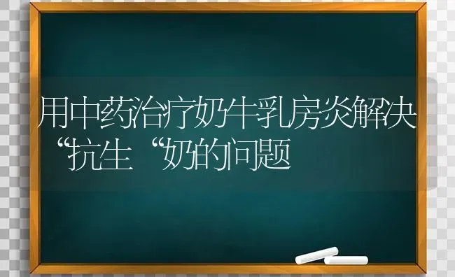 用中药治疗奶牛乳房炎解决“抗生“奶的问题 | 养殖知识