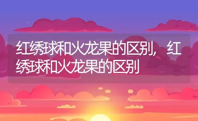 红绣球和火龙果的区别,红绣球和火龙果的区别 | 养殖科普