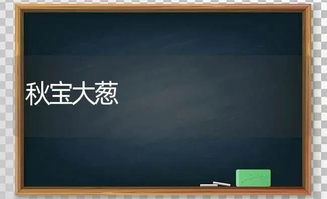 秋宝大葱 | 养殖技术大全