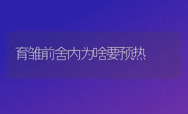 育雏前舍内为啥要预热 | 养殖技术大全