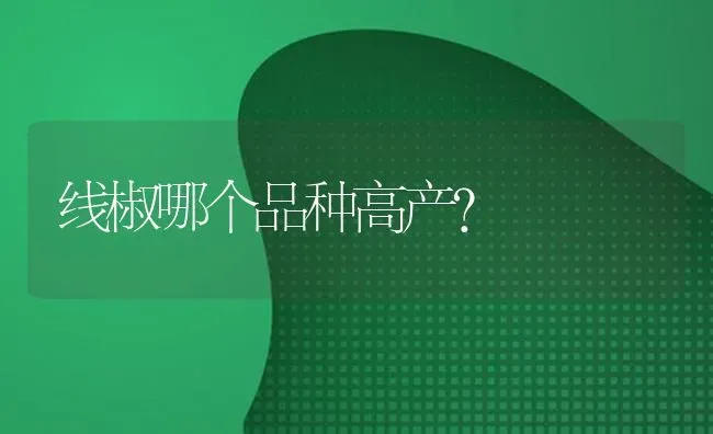 线椒哪个品种高产? | 养殖技术大全