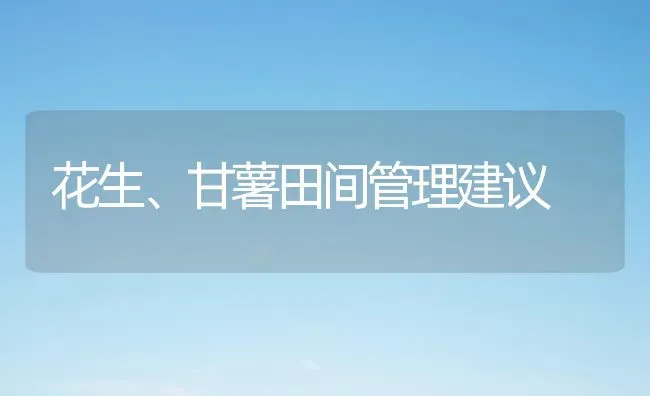 花生、甘薯田间管理建议 | 养殖知识