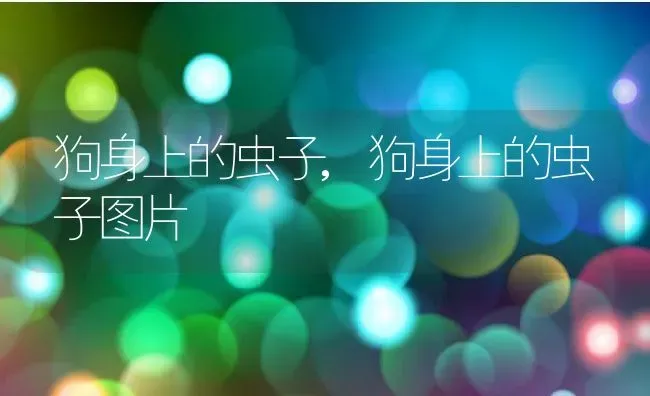 野生动物保护日,野生动物保护日是每年的几月几日 | 养殖科普
