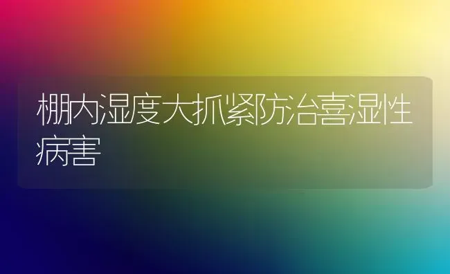 棚内湿度大抓紧防治喜湿性病害 | 养殖技术大全