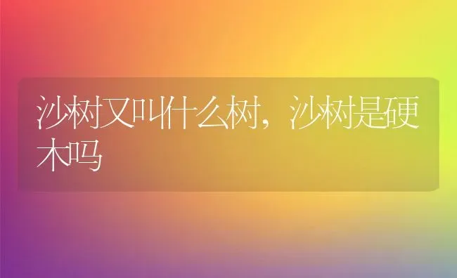沙树又叫什么树,沙树是硬木吗 | 养殖学堂
