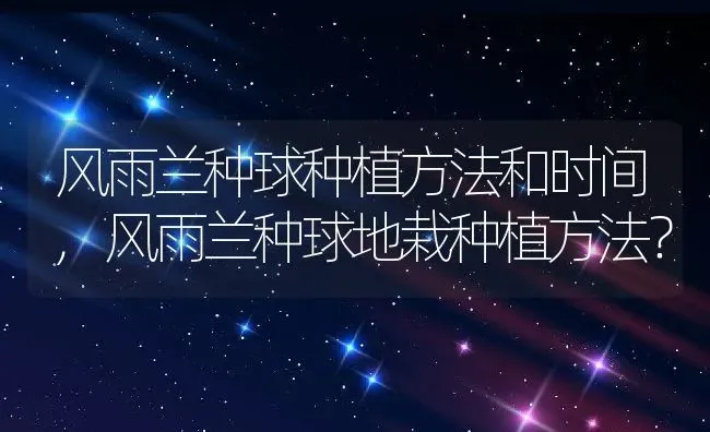 风雨兰种球种植方法和时间,风雨兰种球地栽种植方法？ | 养殖科普