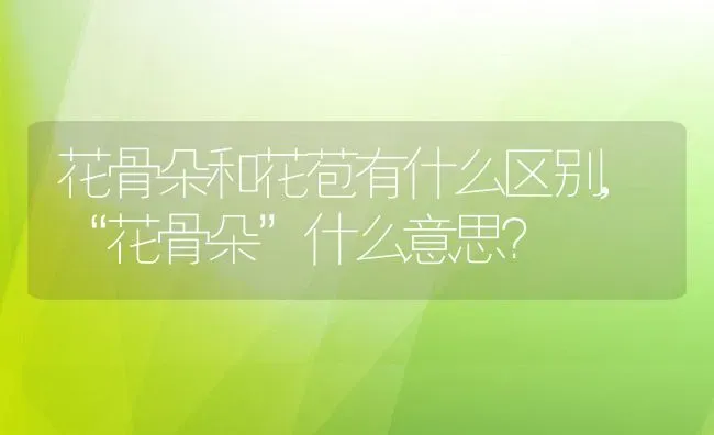 花骨朵和花苞有什么区别,“花骨朵”什么意思？ | 养殖科普