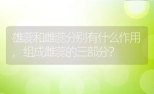 雄蕊和雌蕊分别有什么作用,组成雌蕊的三部分？ | 养殖科普