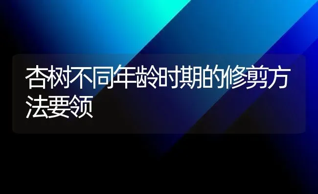 杏树不同年龄时期的修剪方法要领 | 养殖技术大全