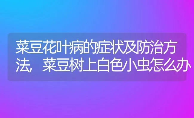 菜豆花叶病的症状及防治方法,菜豆树上白色小虫怎么办 | 养殖学堂