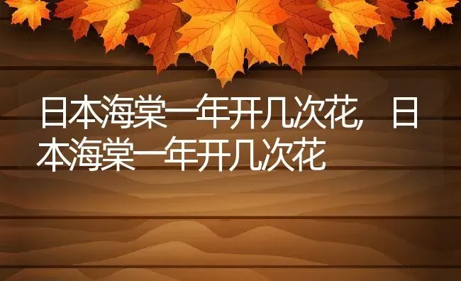 日本海棠一年开几次花,日本海棠一年开几次花 | 养殖科普