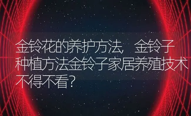 金铃花的养护方法,金铃子种植方法金铃子家居养殖技术不得不看？ | 养殖科普