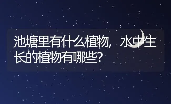 池塘里有什么植物,水中生长的植物有哪些？ | 养殖科普