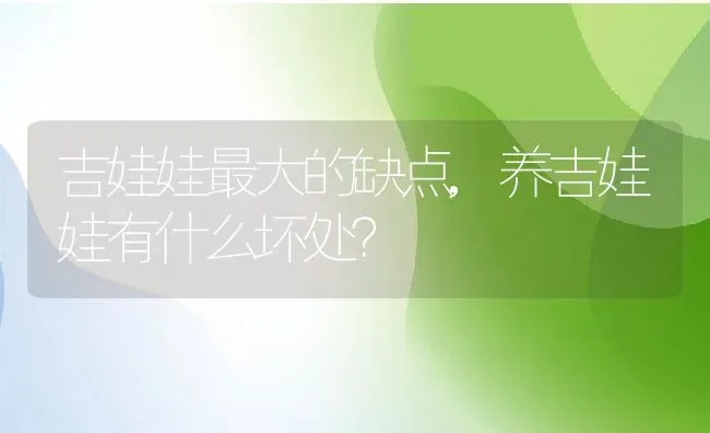 吉娃娃最大的缺点,养吉娃娃有什么坏处？ | 养殖学堂