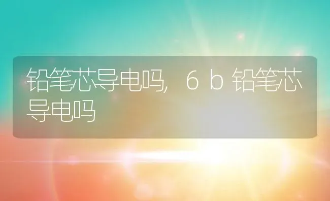 铅笔芯导电吗,6b铅笔芯导电吗 | 养殖学堂