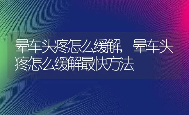 晕车头疼怎么缓解,晕车头疼怎么缓解最快方法 | 养殖资料