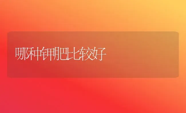 哪种钾肥比较好 | 养殖技术大全