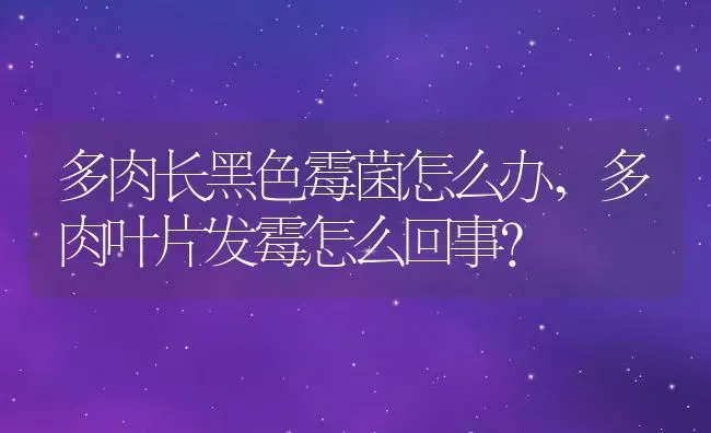 多肉长黑色霉菌怎么办,多肉叶片发霉怎么回事？ | 养殖科普