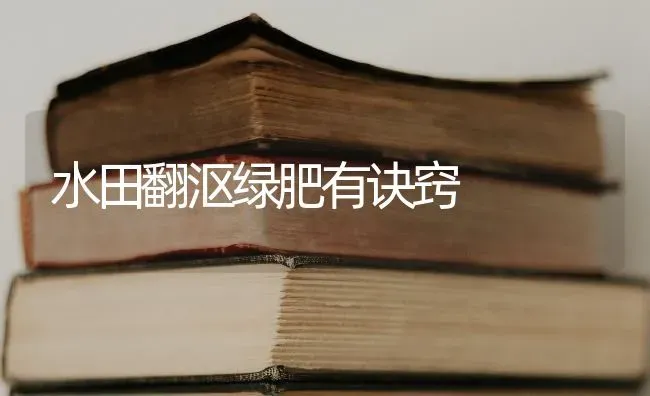 水田翻沤绿肥有诀窍 | 养殖技术大全