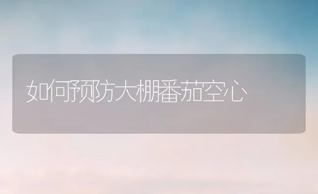 如何预防大棚番茄空心 | 养殖技术大全