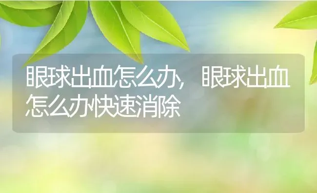 眼球出血怎么办,眼球出血怎么办快速消除 | 养殖资料