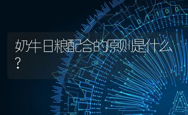 奶牛日粮配合的原则是什么? | 养殖技术大全