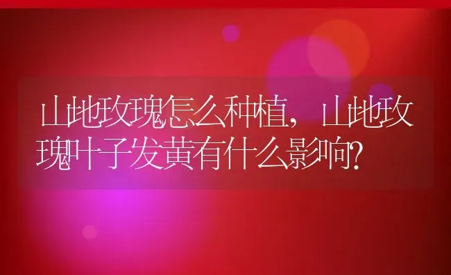 山地玫瑰怎么种植,山地玫瑰叶子发黄有什么影响？ | 养殖学堂