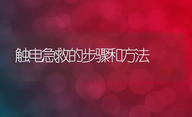 触电急救的步骤和方法 | 养殖资料