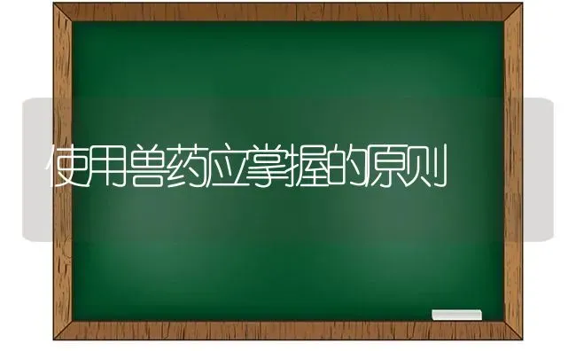 使用兽药应掌握的原则 | 养殖知识