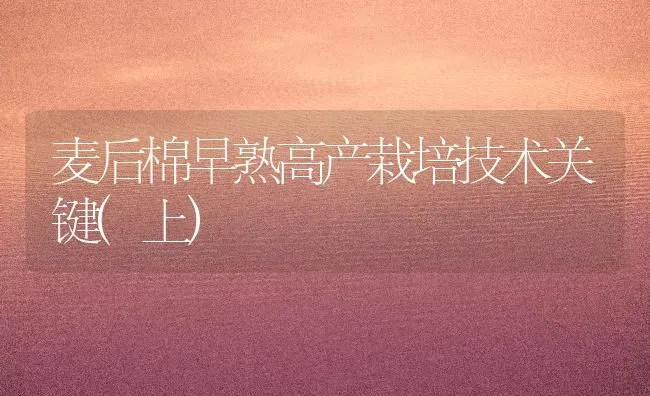 麦后棉早熟高产栽培技术关键(上) | 养殖知识