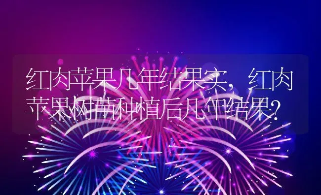 红肉苹果几年结果实,红肉苹果树苗种植后几年结果？ | 养殖科普