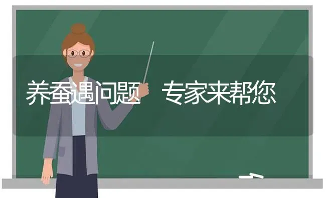 养蚕遇问题 专家来帮您 | 养殖知识
