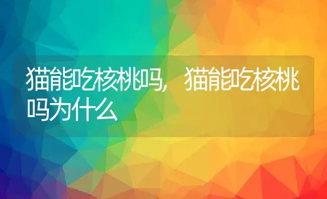 猫能吃核桃吗,猫能吃核桃吗为什么 | 养殖资料