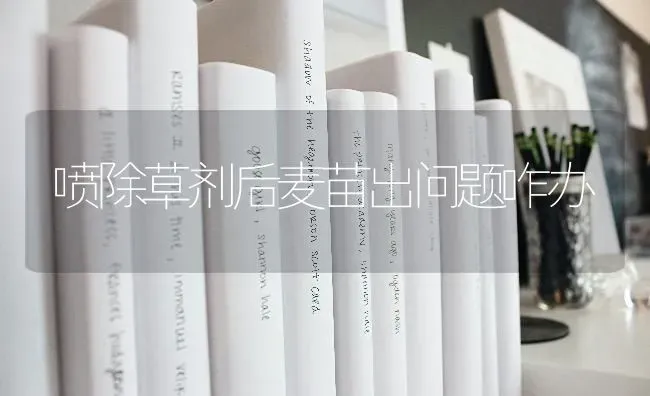 喷除草剂后麦苗出问题咋办 | 养殖技术大全